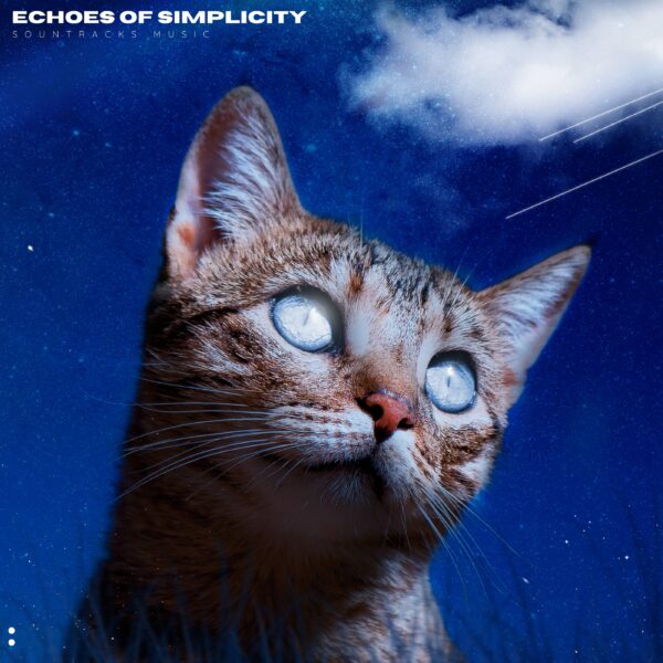 Echoes of Simplicity